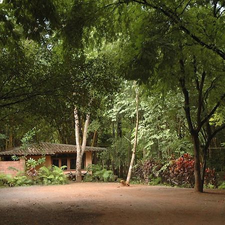 Momchailai Forest Retreat Kanchanaburi Esterno foto